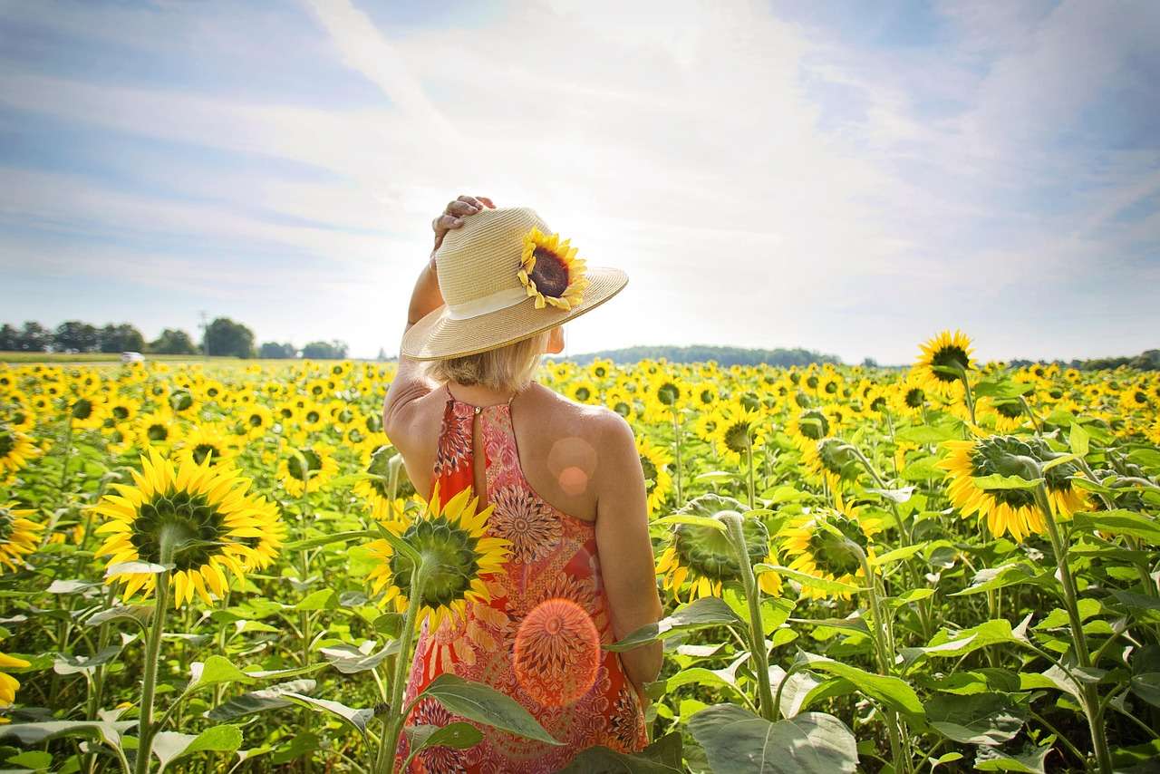 leevisp.692b46f76dbed